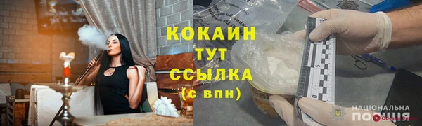 шишки Мегион