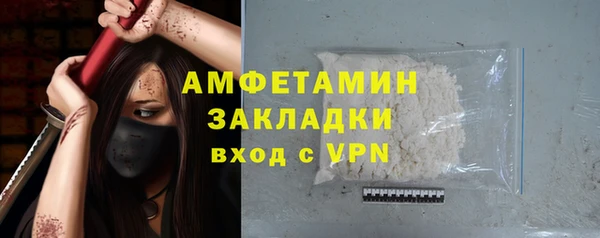 шишки Мегион