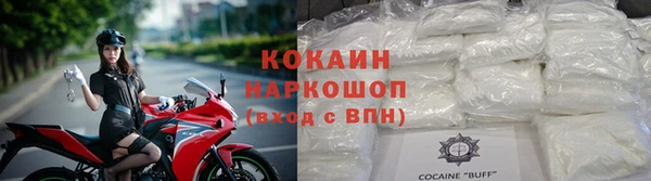шишки Мегион