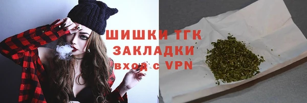 шишки Мегион