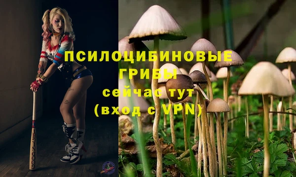 шишки Мегион