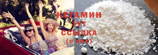 шишки Мегион