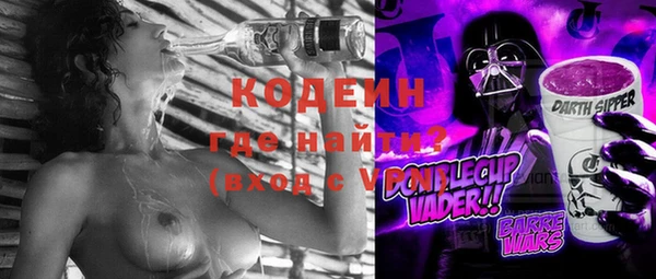 шишки Мегион