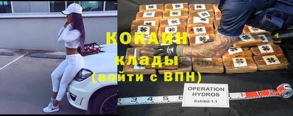 шишки Мегион
